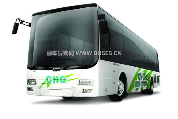五洲龙客车FDG6921NG公交车(柴油国四22-33座)