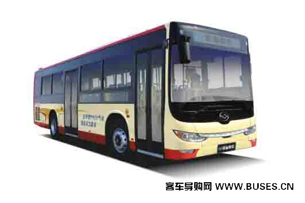 黄海客车DD6109PHEV1N混合动力