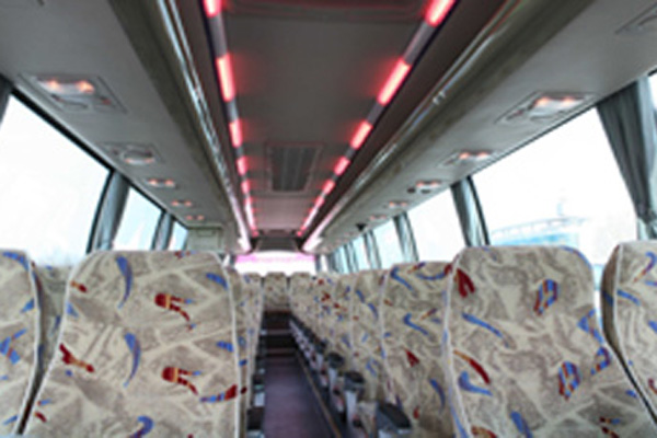 舒驰YTK6126HET客车