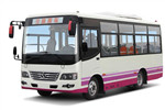 少林SLG6667C5GF公交车