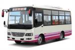 少林SLG6667C5GE公交车（柴油国五10-25座）