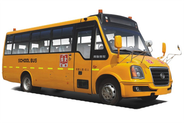 黄海DD6930C02FX小学生专用校车