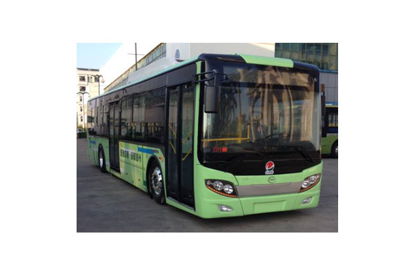 五洲龙FDG6121EVG公交车