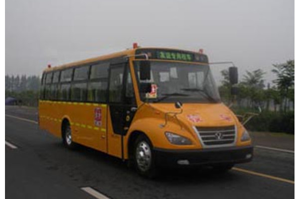 友谊ZGT6960DSX小学生专用校车