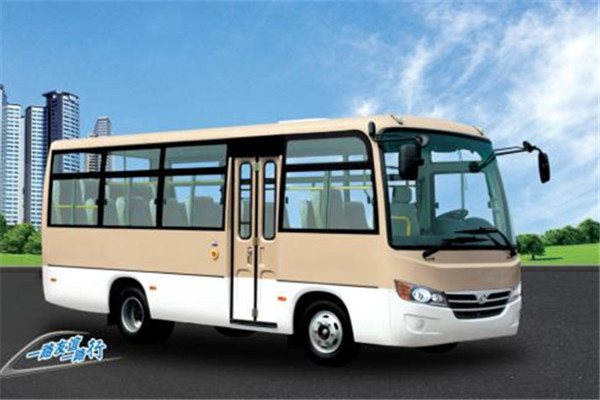 友谊ZGT6668NS公交车
