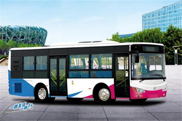 友谊ZGT6910NHV公交车