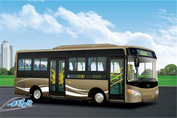 友谊ZGT6760DHS公交车