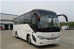 安凯HFF6819KD1E5B1客车（柴油国五10-23座）