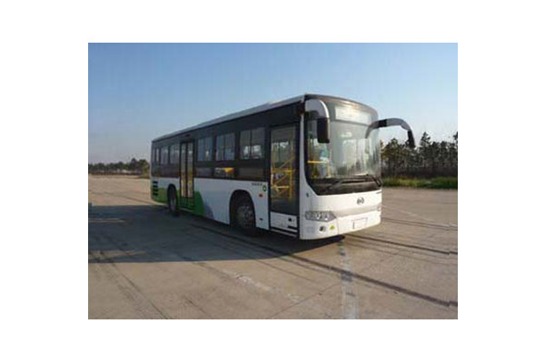 安凯HFF6101G39DE5公交车