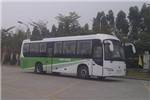 金龙XMQ6110AGN5公交车（天然气国五10-60座）
