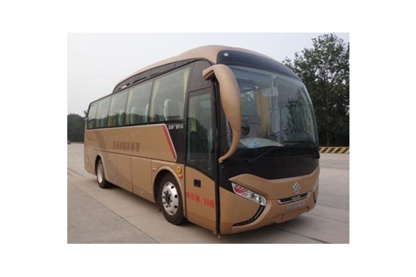 银隆GTQ6859BEVPT6客车