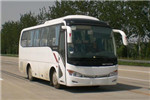 金龙XMQ6879AYN5D客车（天然气国五24-39座）