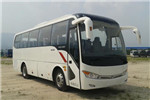 金龙XMQ6898AYD5C客车（柴油国五24-41座）
