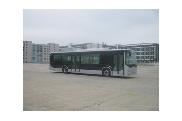 比亚迪CK6120LGEV2公交车(纯电动19-34座)
