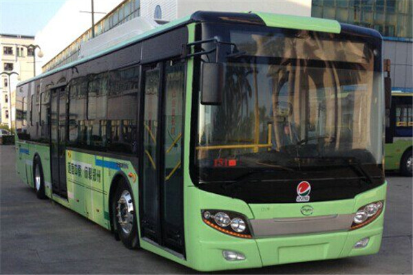 五洲龙FDG6125EVG公交车(纯电动10-31座)