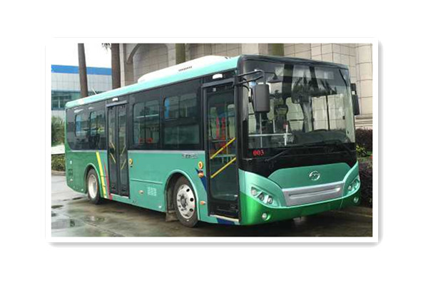 五洲龙FDG6851EVG8公交车(纯电动10-28座)
