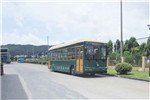 银隆GTQ6123BEVBT9公交车（纯电动10-42座）