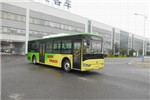 亚星JS6101GHBEV20公交车（纯电动12-36座）