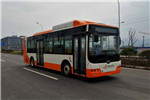 中车时代电动TEG6106BEV19公交车（纯电动10-36座）