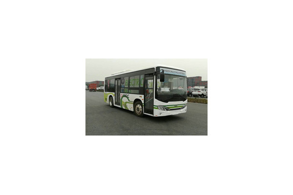 中车时代电动TEG6851BEV14公交车(纯电动10-27座)