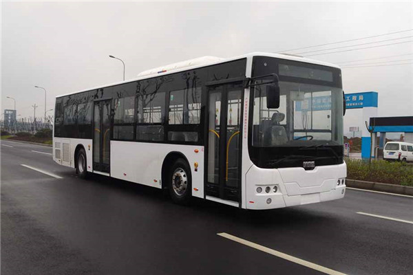 中车时代电动TEG6129BEV06公交车(纯电动10-38座)