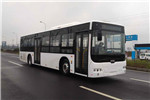 中车时代电动TEG6129BEV06公交车（纯电动10-38座）