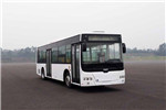 中车时代电动TEG6106BEV16公交车（纯电动10-36座）
