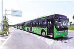 湖北恩施：21辆新能源电动公交车抵达州城