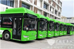 四川泸州：新增70台新能源空调公交车 助市民清凉出行