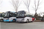 南京：扬子公交在江北首推定时巴士