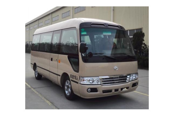 九龙HKL6602A客车(汽油国四10-18座)