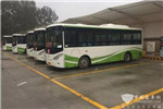 江苏连云港：东海公交全面告别传统燃油时代 