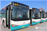 山东青岛：多条公交线路更换新能源车