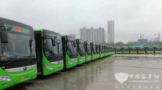 河南：漯河再次投入260台新能源纯电动公交车