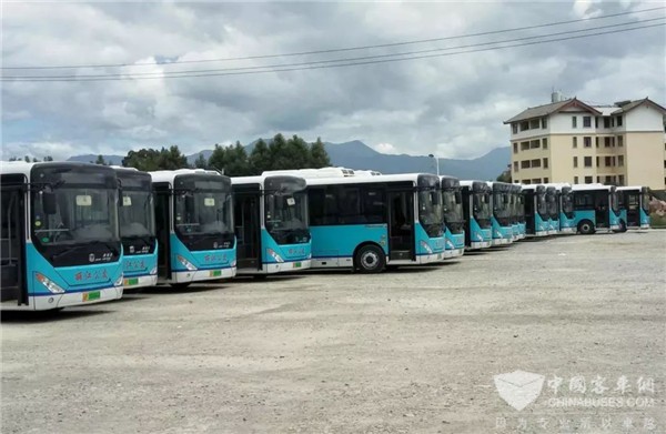 郑州：氢燃料电池公交车达23台 环境空气质量改善 