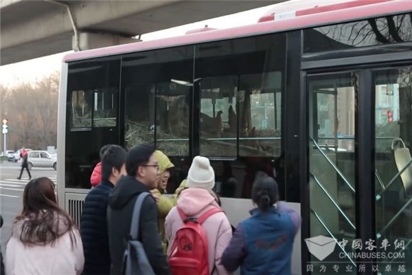 天津：养鸡公交 乘客可免费每人领一枚鸡蛋