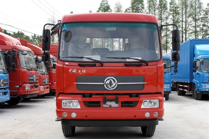 东风商用车 天锦中卡 180马力 4X2 6.2米 国四栏板载货车(DFL1160BX5)