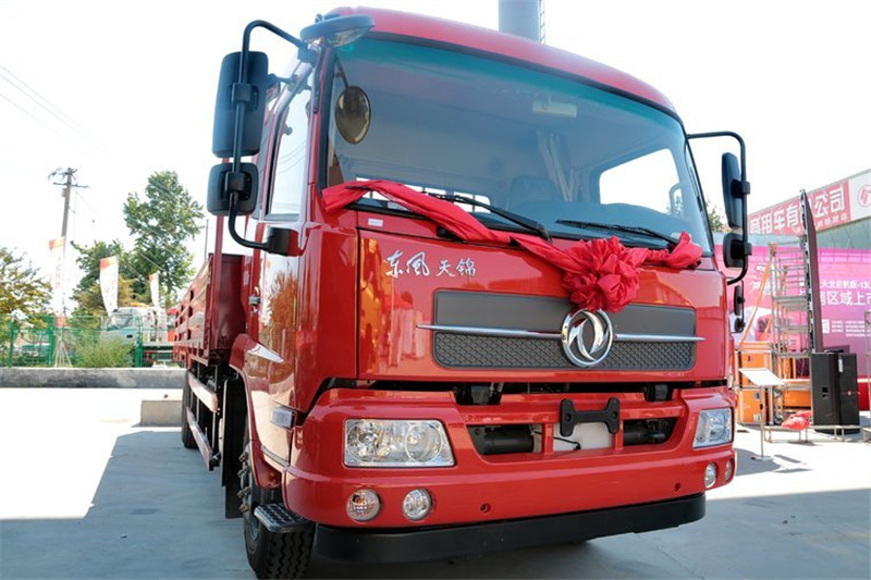 东风商用车 天锦中卡 180马力 4X2 国四载货车底盘(车长：7.79)(DFL1120B4)