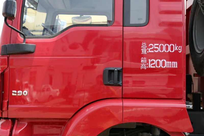 陕汽重卡 德龙新M3000 290马力 6X4 5.6米 国四自卸车(SX3256MR384)